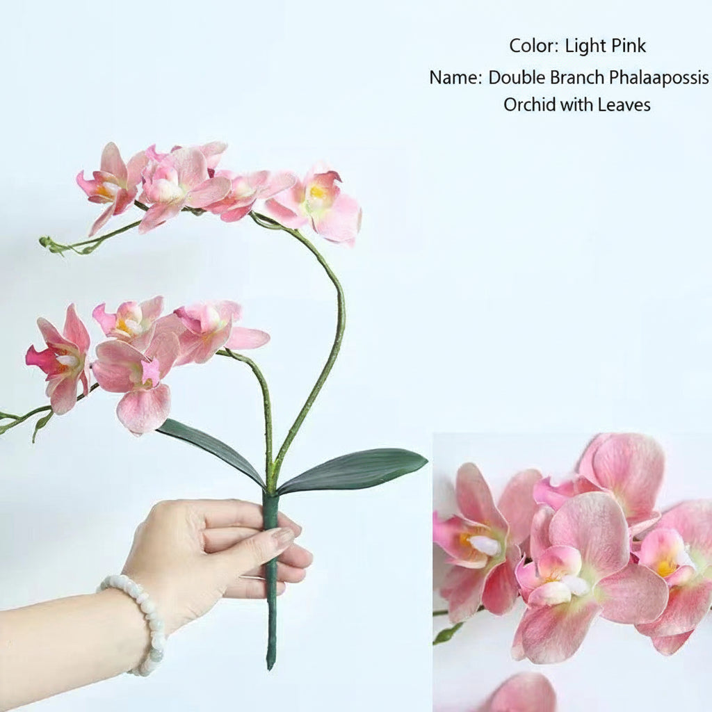 White artificial orchid arrangement for clinic reception desk decor