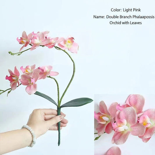 White artificial orchid arrangement for clinic reception desk decor