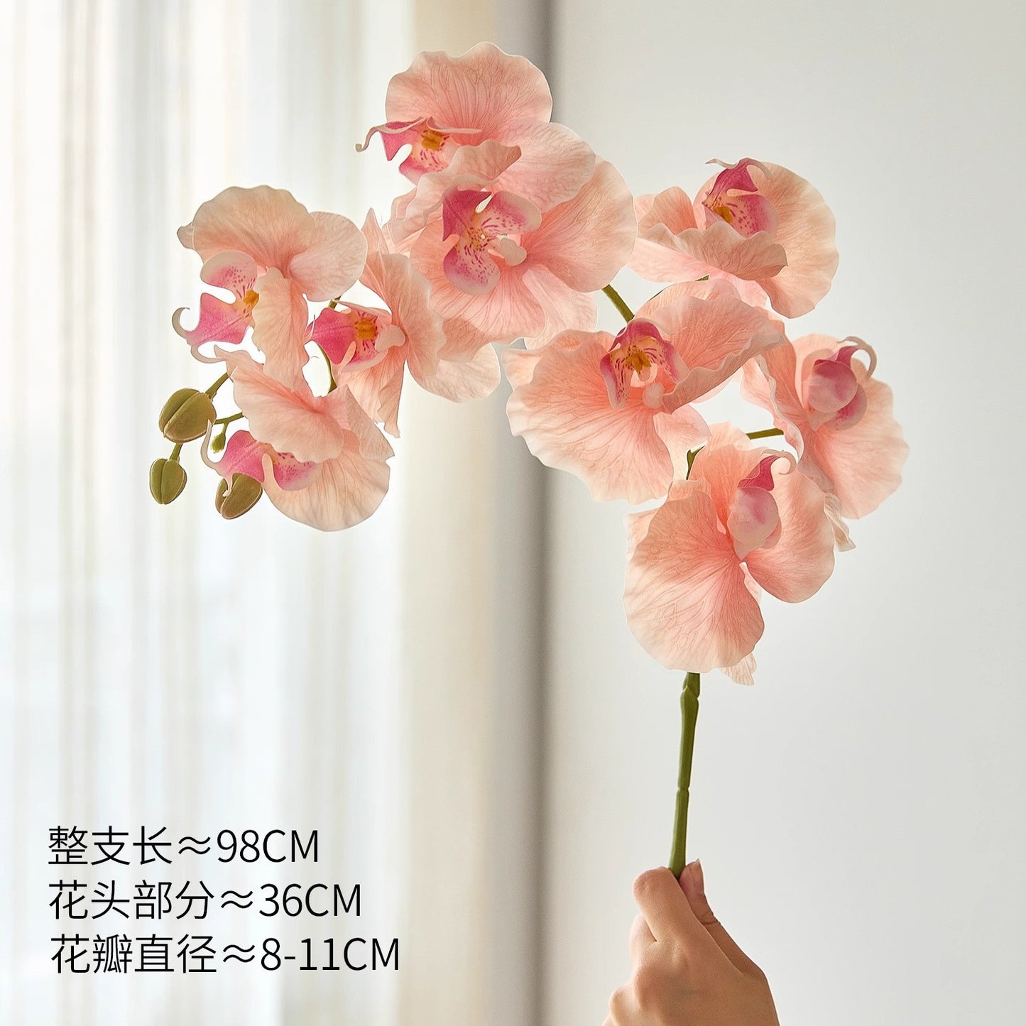 2bf69c09-8a50-4f22-ae4f-e21d725f2239