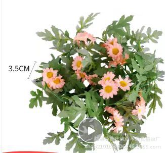 2d486aba-f278-419a-bfc1-bb8fbb1cb1be