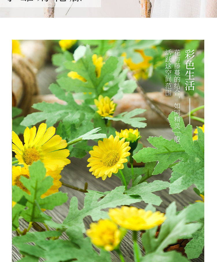 57877b73-c51c-4007-820f-fca5d4aba4d4
