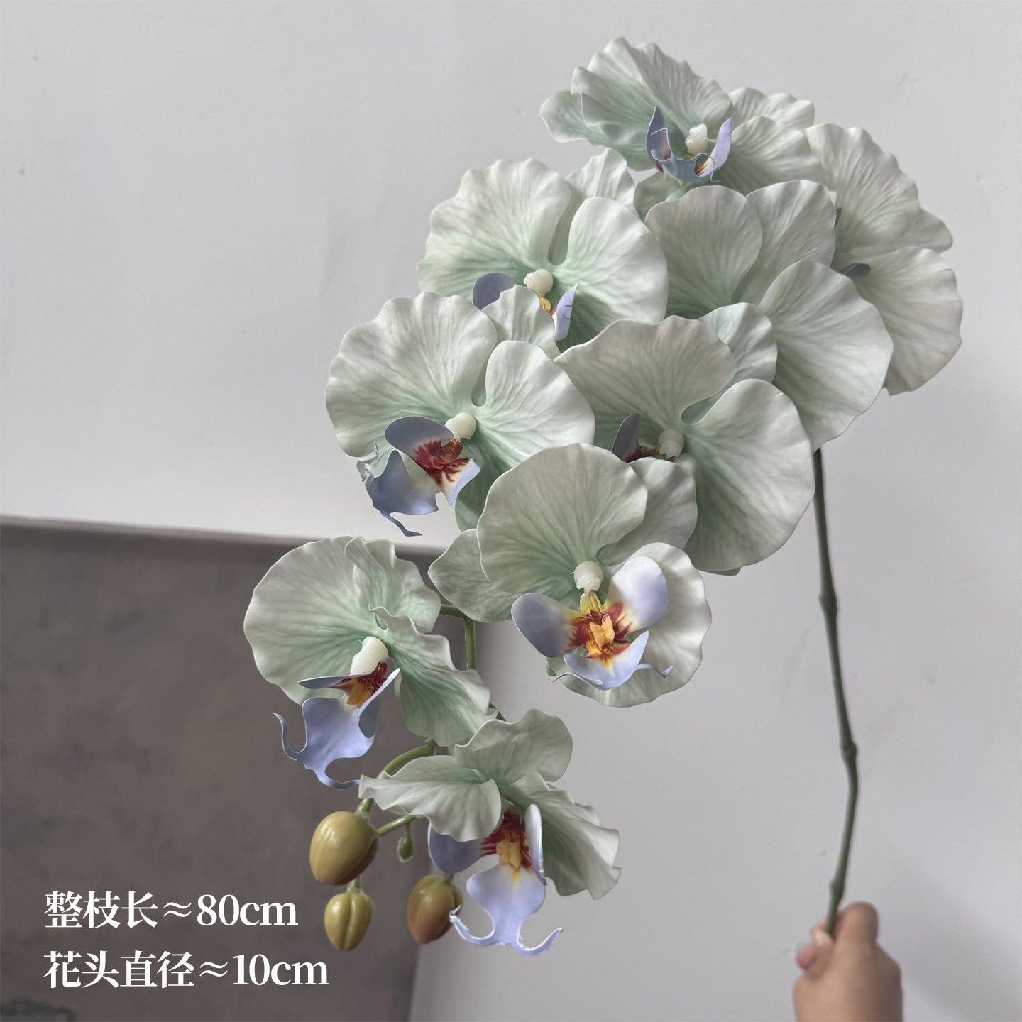 a80148d4-1a9c-4810-9431-6be837f8e271