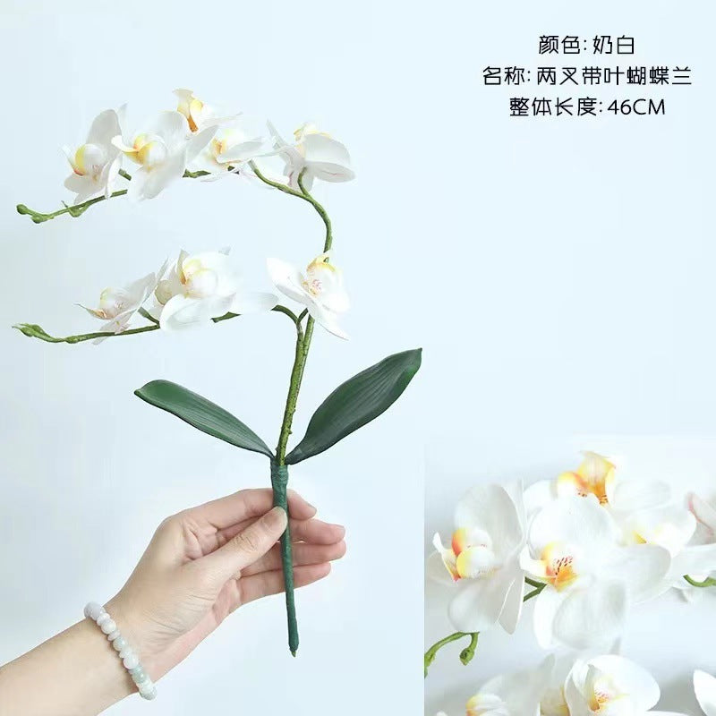 f2a3a6ad-110e-4078-9fe9-35f9b872ffeb