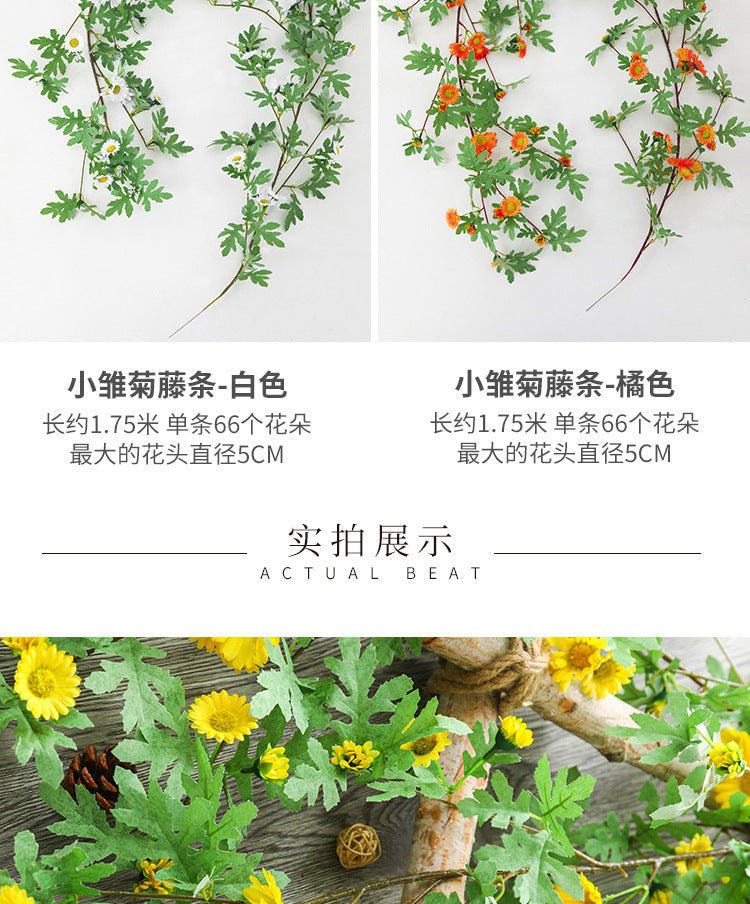 cc699bac-0d91-4dea-b322-b00f4832c36d