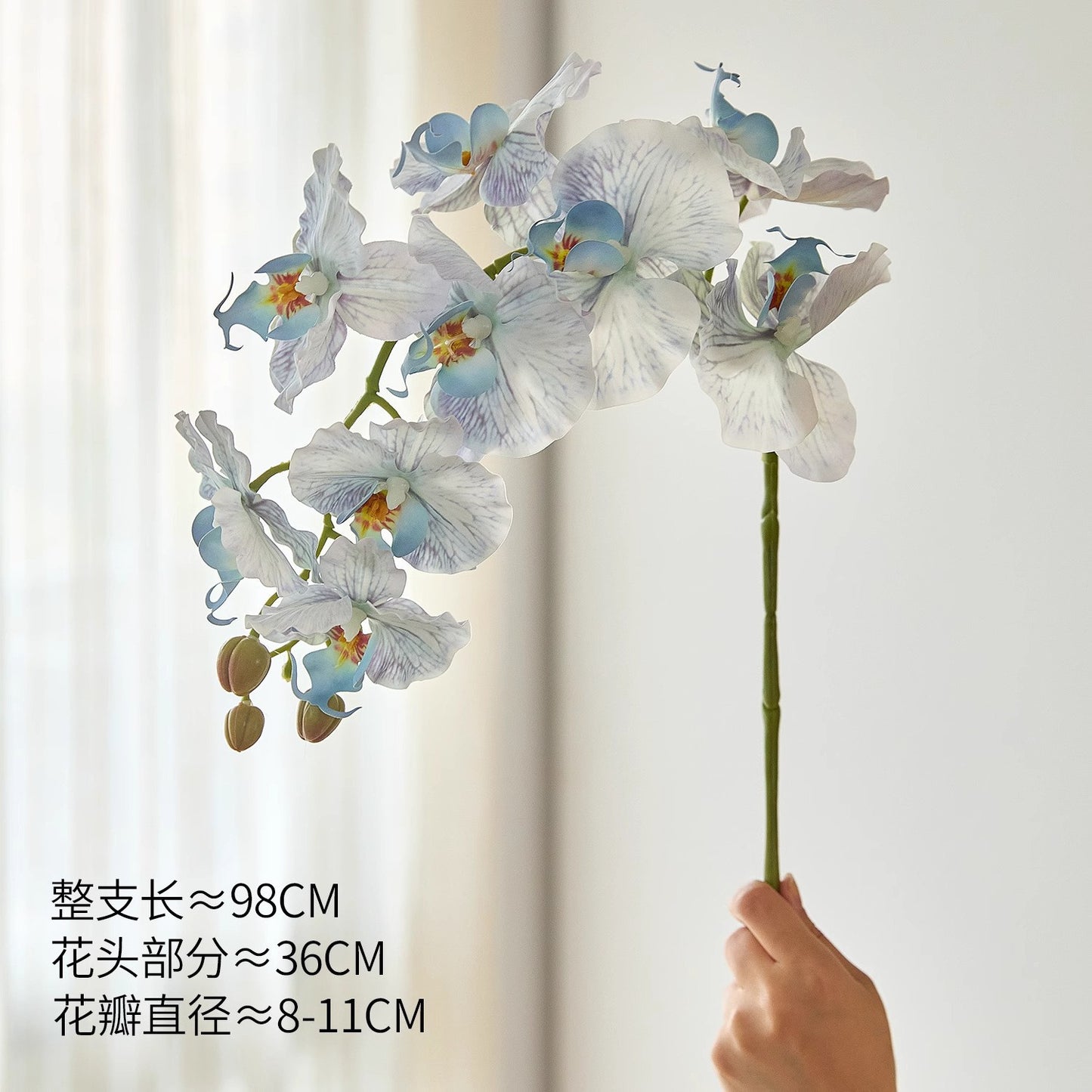 f50a514d-6d08-49d1-93e7-10b353fe879e