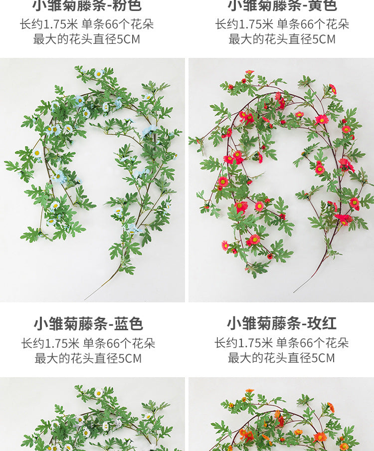 55032c16-416a-43f0-ae44-524f687da54f