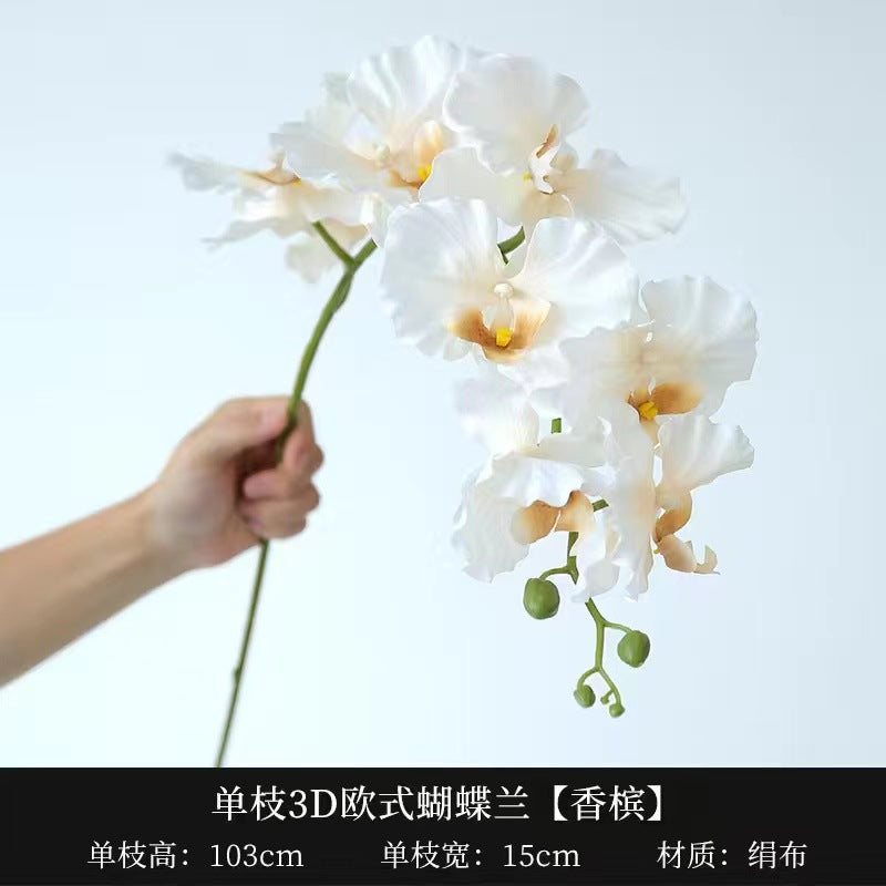 8115ea65-7cf3-451c-bf95-03e2480494d1