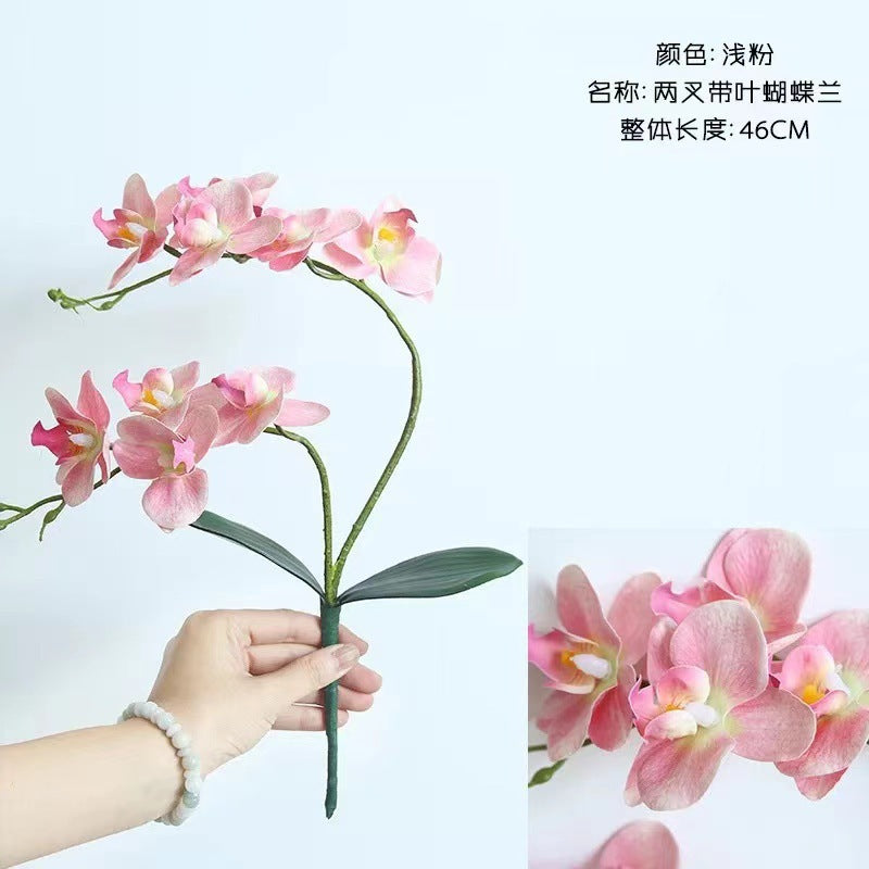 ca209d9e-fb72-42a4-86b8-77b6a5c8812f