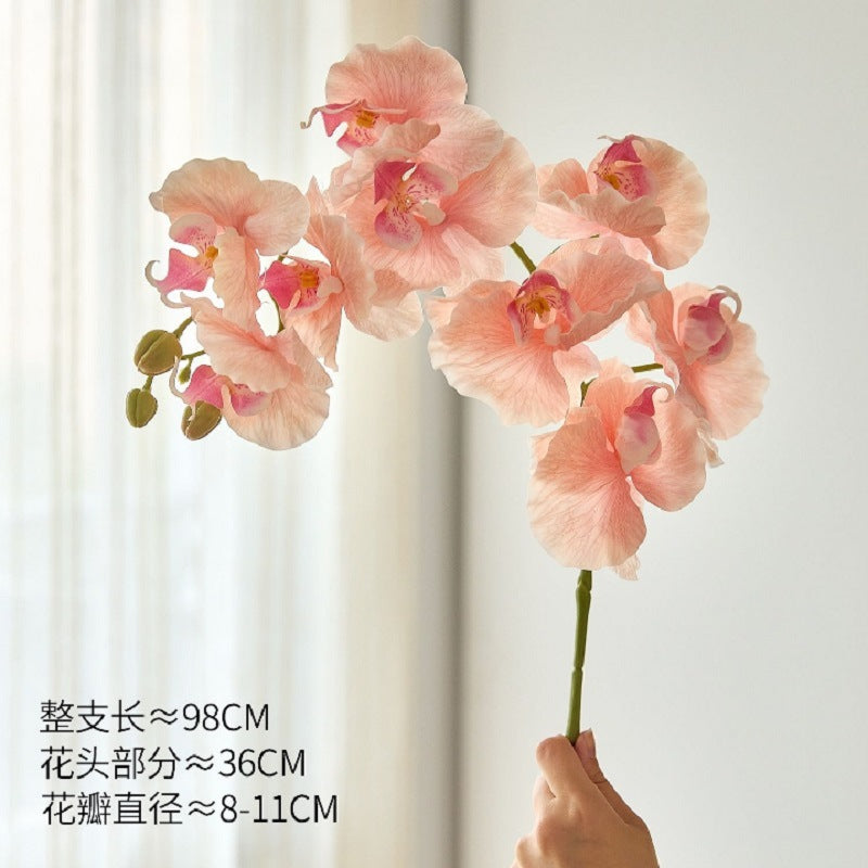 4c572b77-7bee-446a-ab3c-8cc62e0fc9f0