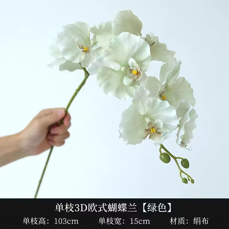 c94c909e-1c26-471f-87bb-85c42fe52267