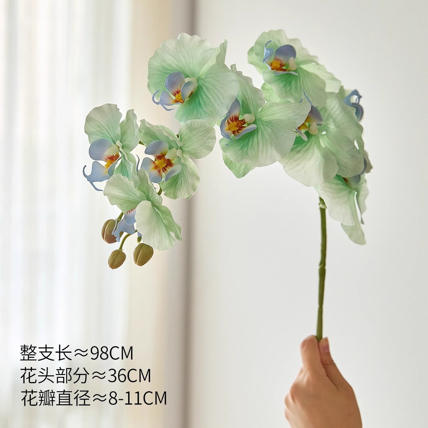 dfbc7187-d208-4d48-b7fd-f1d12e1eafb1